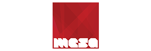Mesa Inc.